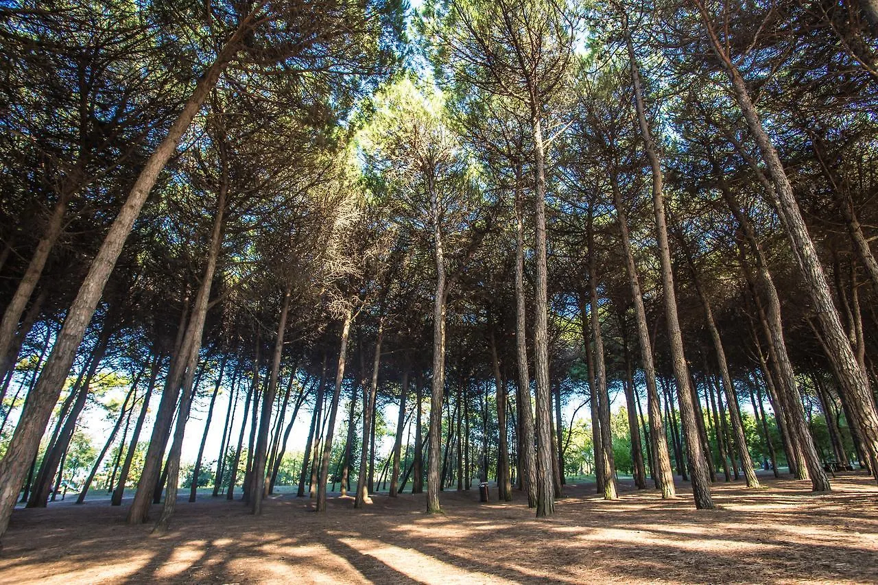 Hotel Garden Cervia 4*,